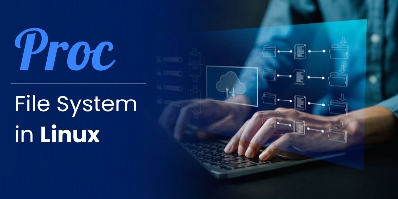 Proc File System in Linux