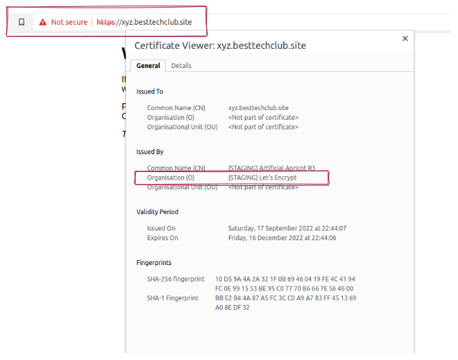 Securing Kubernetes Traffic with Cert-Manager & Lets Encrypt - DEVOPS ...