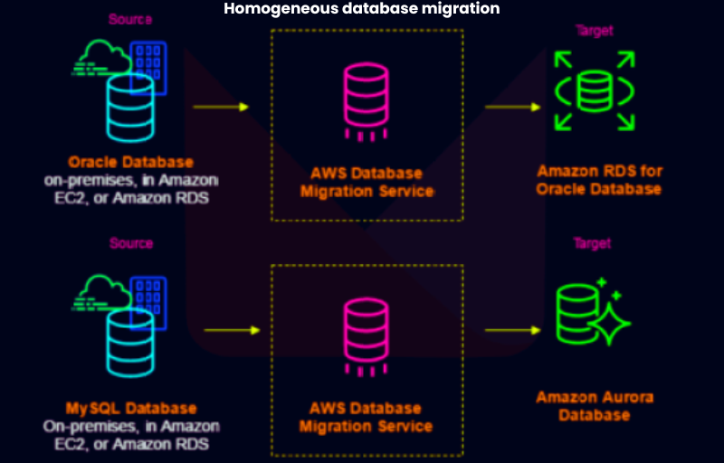 Homogeneous database migration
